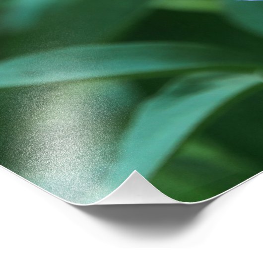 Pink Peony Foto Afdruk (Hoek)