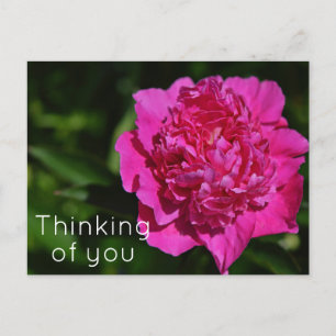 Pink Peony Garden Flower Thinking of you Briefkaart