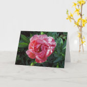 Pink Peony Kaart (Gele Bloem)