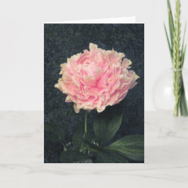 Pink Peony Kaart