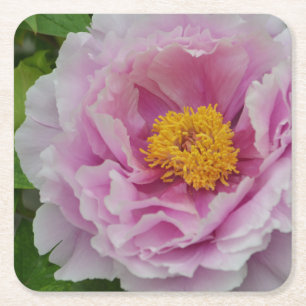 Pink Peony Kartonnen Onderzetters