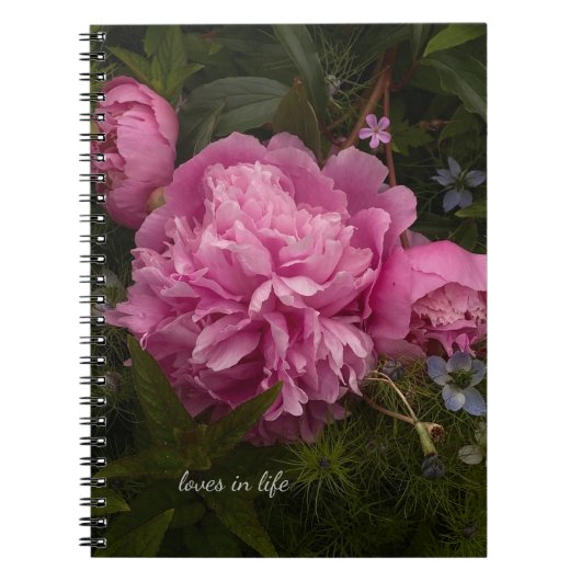 Pink Peony & Love-in-a-mist Notitieboek (Voorkant)