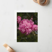 Pink Peony & Love-in-a-mist Notitiekaartje (Voorkant / Achterkant in situ)