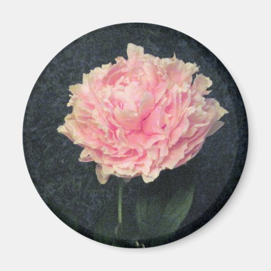 Pink Peony Magneet (Voorkant)