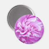 Pink Peony - Magnet (Voorkant / Achterkant)