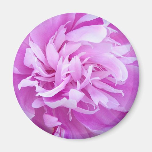 Pink Peony - Magnet (Voorkant)