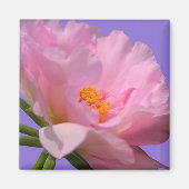 Pink Peony Magnet (Voorkant)