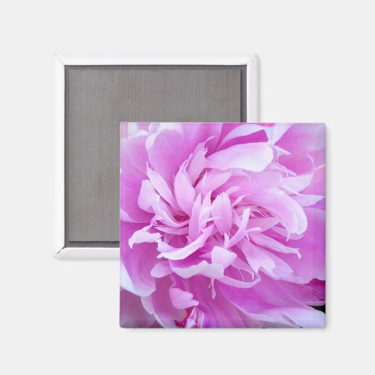Pink Peony - Magnet (Voorkant / Achterkant)