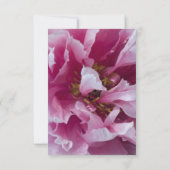 Pink Peony Marriage/Elopement Announement Aankondiging (Achterkant)