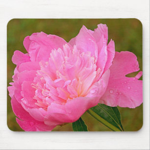 Pink Peony Muismat