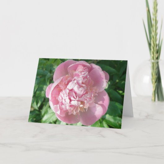Pink Peony Note Kaart (Voorkant)