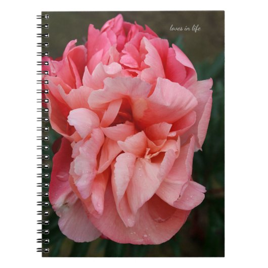 Pink Peony Notitieboek (Voorkant)