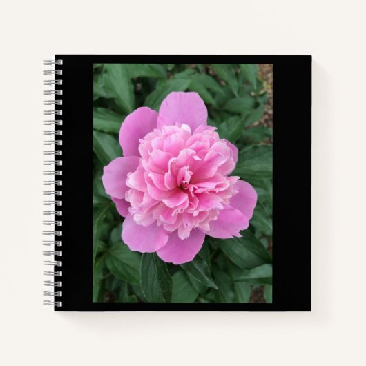 Pink Peony Notitieboek (Voorkant)