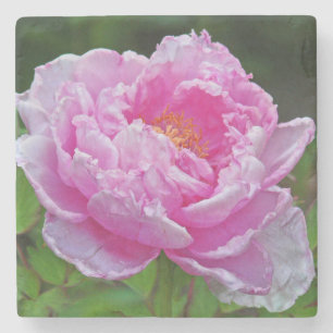 "PINK PEONY"-ONDERZETTER STENEN ONDERZETTER