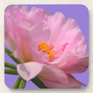 Pink Peony Onderzetters