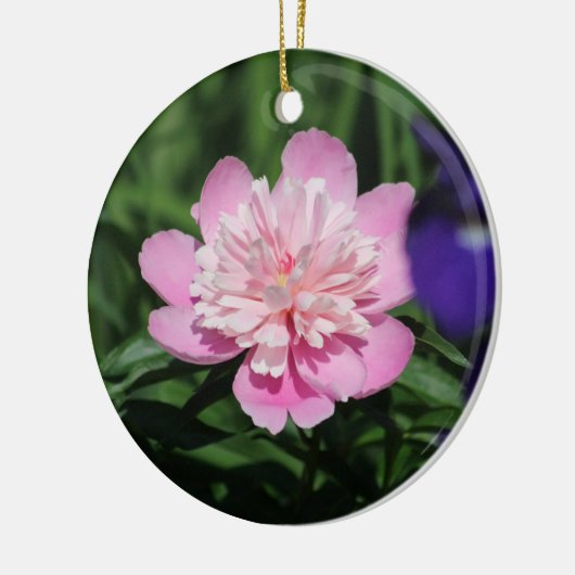 Pink Peony ornament (Links)