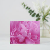Pink Peony Petals postkaart (Staand voorkant)