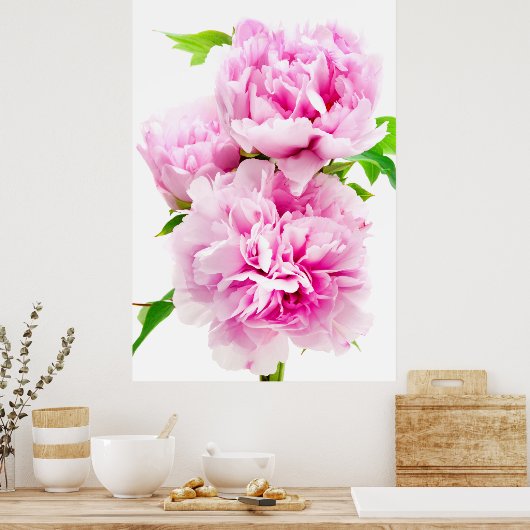 Pink Peony Poster (Keuken)