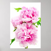 Pink Peony Poster (Voorkant)