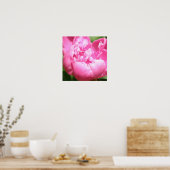 Pink Peony Poster (Keuken)