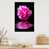 Pink Peony Poster (Keuken)