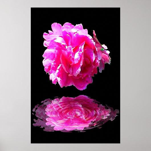 Pink Peony Poster (Voorkant)