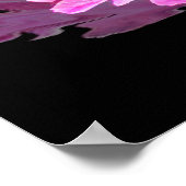 Pink Peony Poster (Hoek)