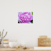 Pink Peony Poster (Keuken)