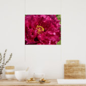 Pink Peony Poster Print (Keuken)