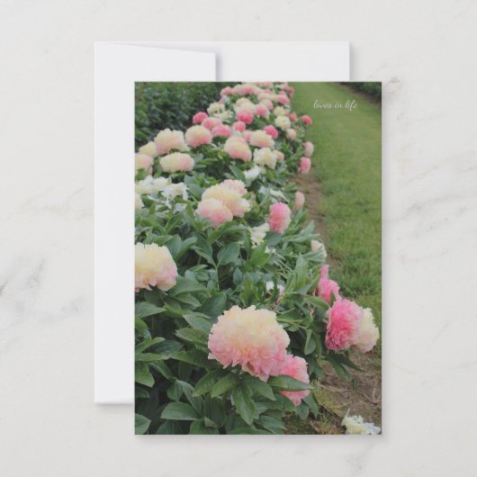 Pink Peony-rand Notitiekaartje (Voorkant)