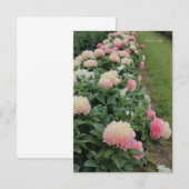 Pink Peony-rand Notitiekaartje (Voorkant / Achterkant)