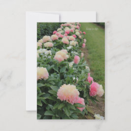 Pink Peony-rand Notitiekaartje