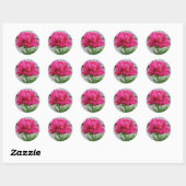 Pink Peony Ronde Sticker (Vel)