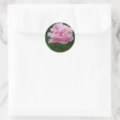 Pink Peony Round Stickers (Tas)