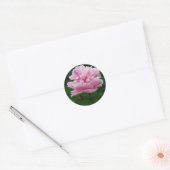 Pink Peony Round Stickers (Envelop)