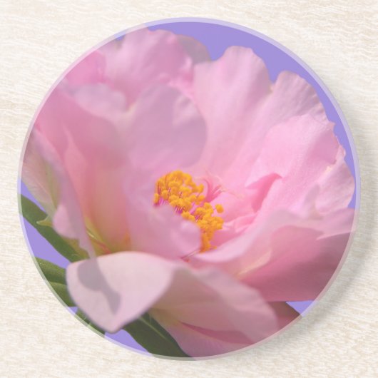 Pink Peony Sandstone Onderzetter (Voorkant)