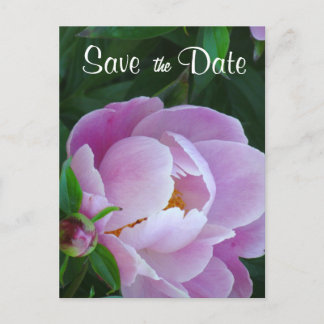 Pink Peony Save the Date Briefkaart
