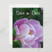 Pink Peony Save the Date Briefkaart (Voorkant / Achterkant)