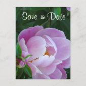 Pink Peony Save the Date Briefkaart (Voorkant)
