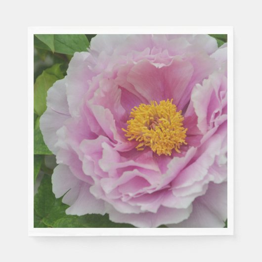 Pink Peony Servetten (Voorkant)