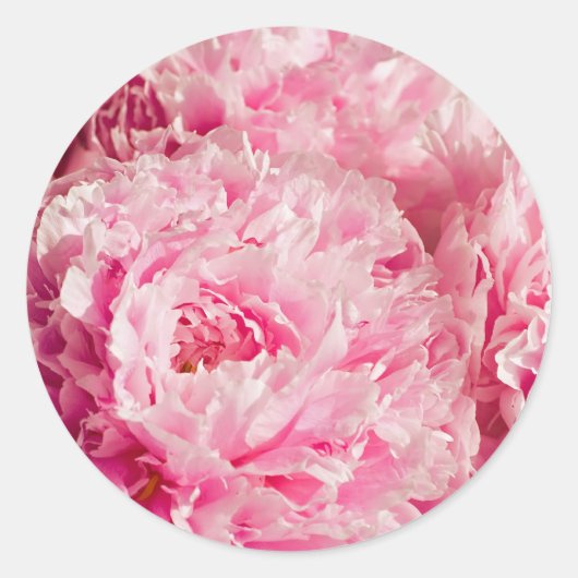 Pink Peony Stickers (Voorkant)