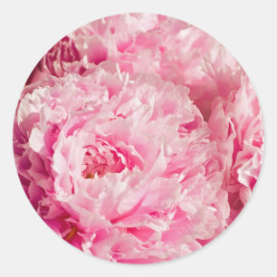 Pink Peony Stickers