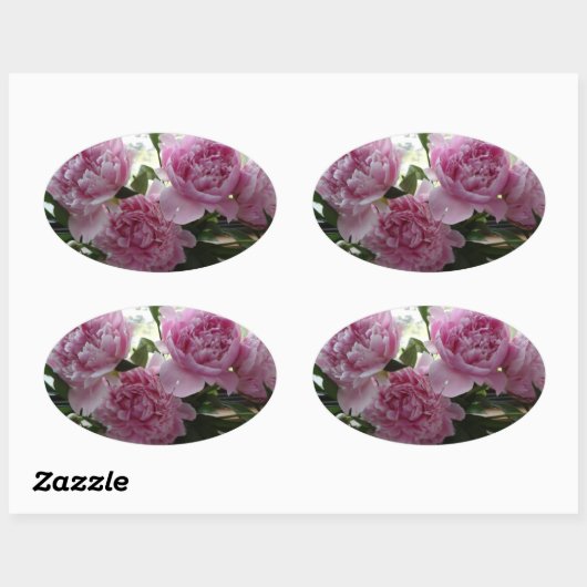 Pink Peony Stickers (Vel)