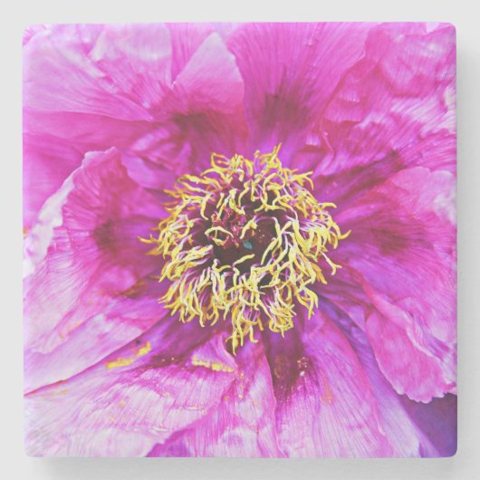 Pink Peony Stone Onderzetter (Voorkant)