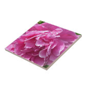 Pink Peony Tegeltje (Zijkant)