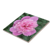 Pink Peony Tegeltje (Zijkant)