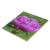 Pink Peony Tegeltje (Zijkant)