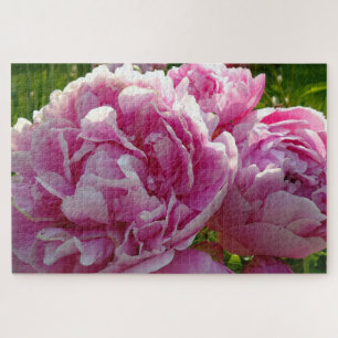 Pink Peony   tuinbouwtuin voor huisdieren Legpuzzel