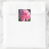 Pink Peony Vierkante Sticker (Tas)