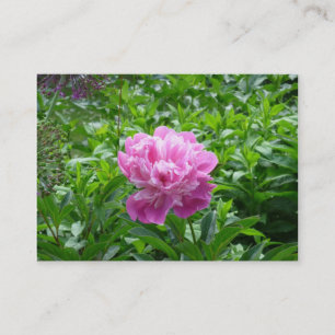 Pink Peony Visitekaartje